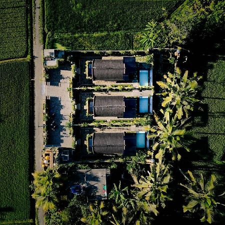 Villa Alvia Joglo House & Private Pool Tampaksiring Exterior foto